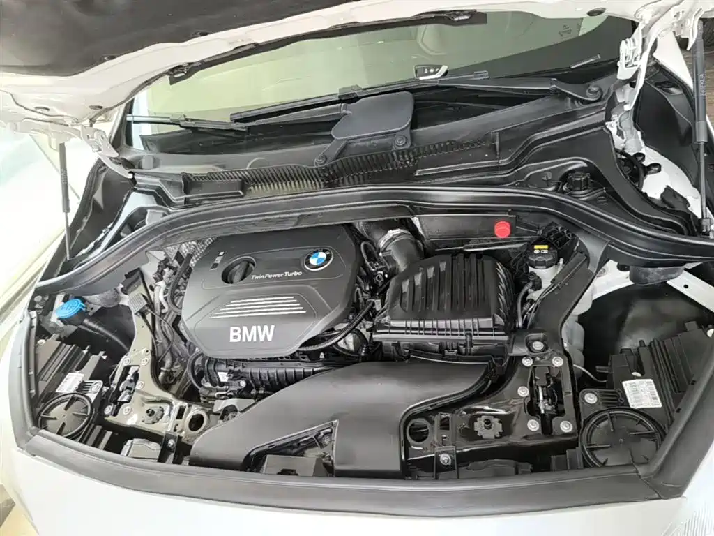 BMW 2 Series Tourer (Import) 2015 218i Leading Type фото 20
