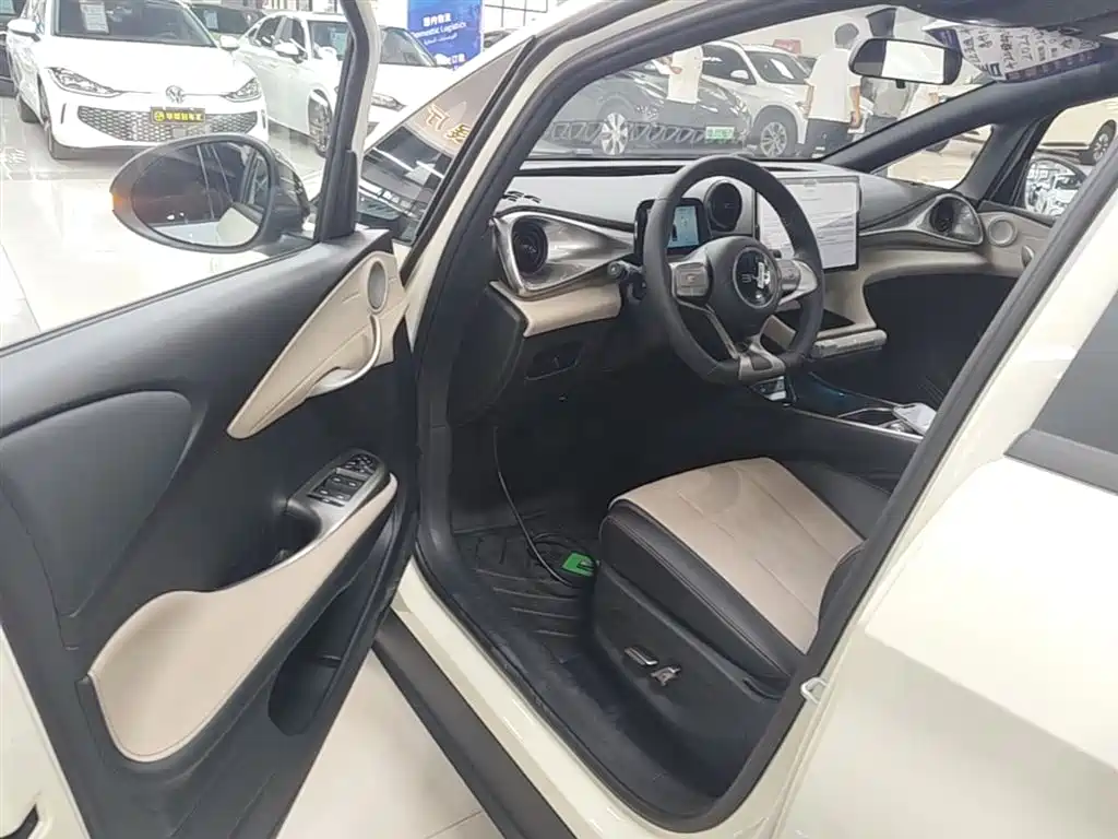 BYD Dolphin 2025 420km Freedom Edition фото 16