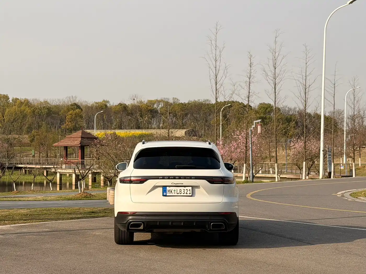Porsche Cayenne 2018 Cayenne 3.0T фото 15