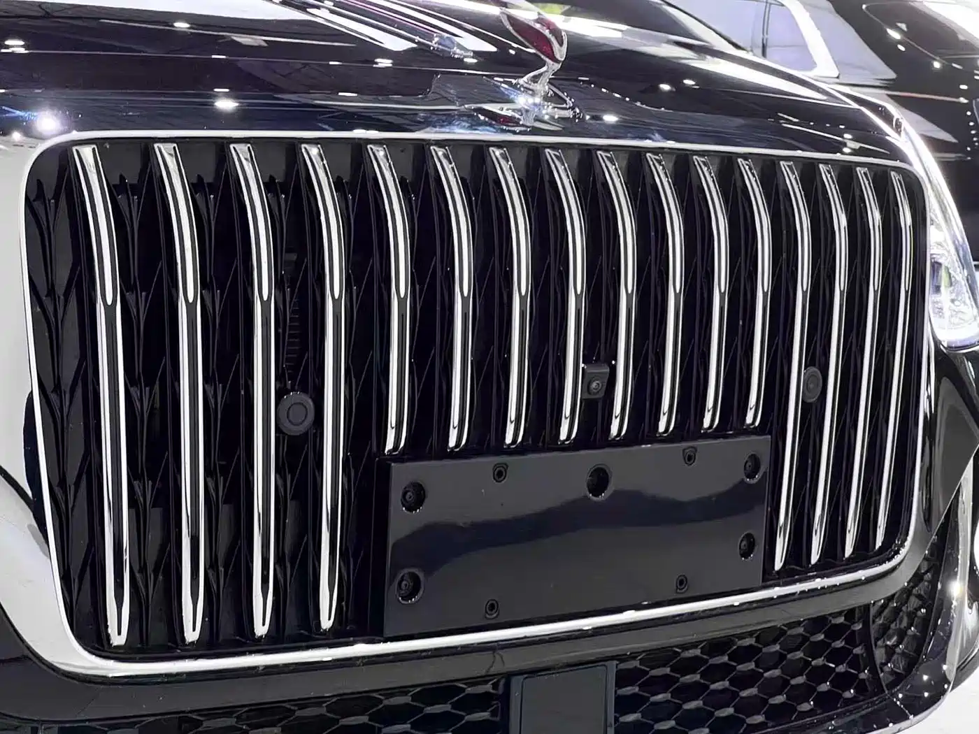 Hongqi Guoya 2024 4.0T V8 Version фото 10