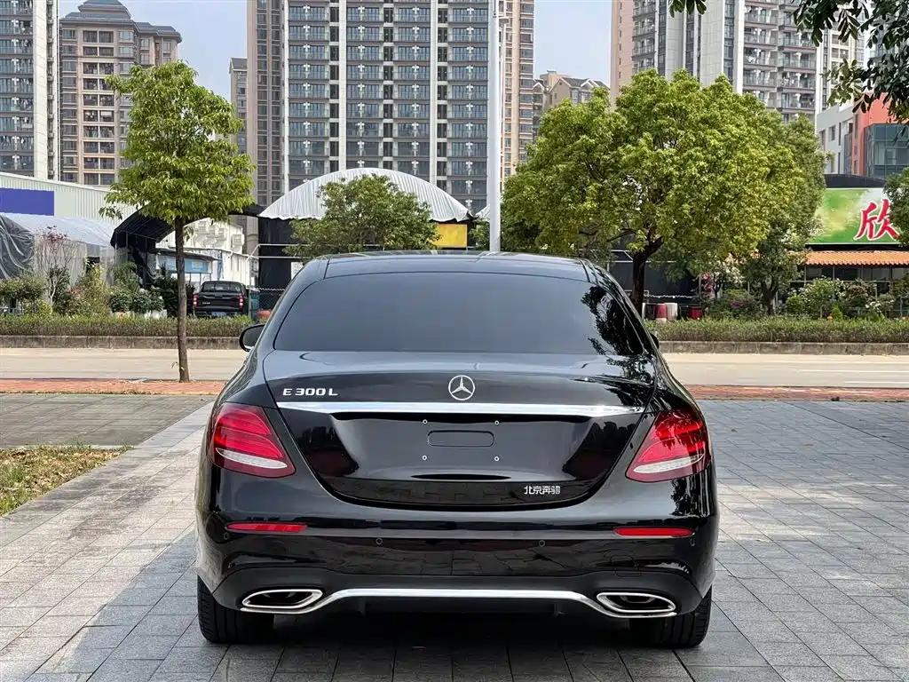 Mercedes-Benz E-Class 2020 Facelift E 300 L Sport Exclusive фото 8