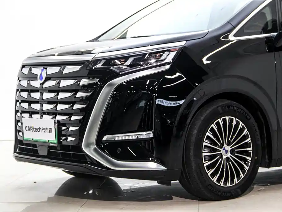 Denza D9 2024 DM-i 980 AWD Premium фото 9