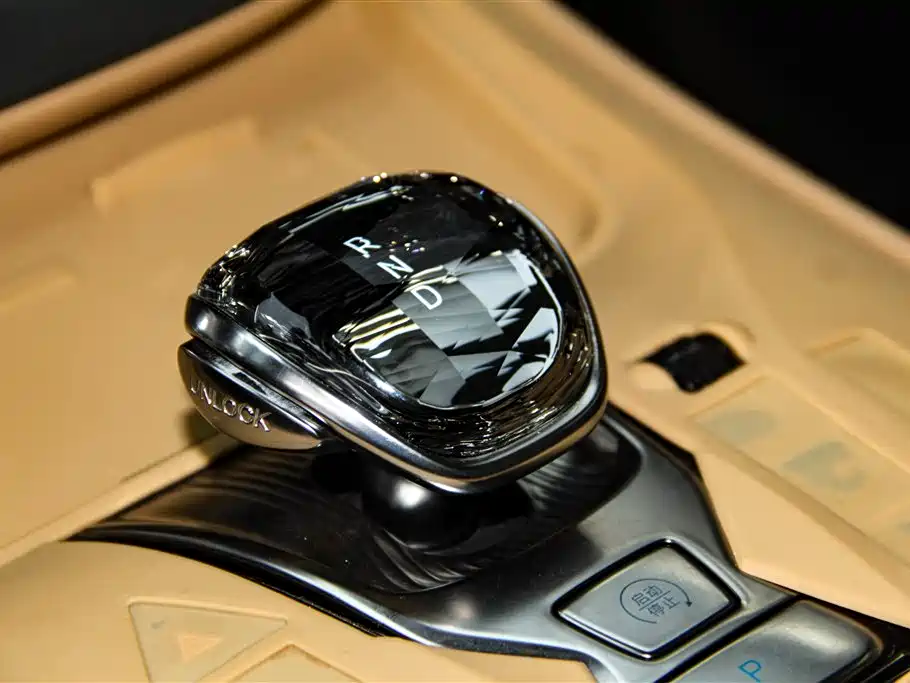 Denza D9 2024 DM-i 980 AWD Premium фото 21