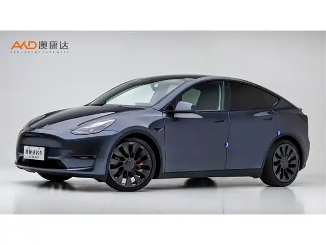 Tesla Model Y 2021 Performance High-Performance AWD