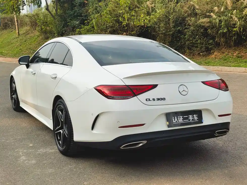 Mercedes-Benz CLS 2021 CLS 300 Luxury фото 5