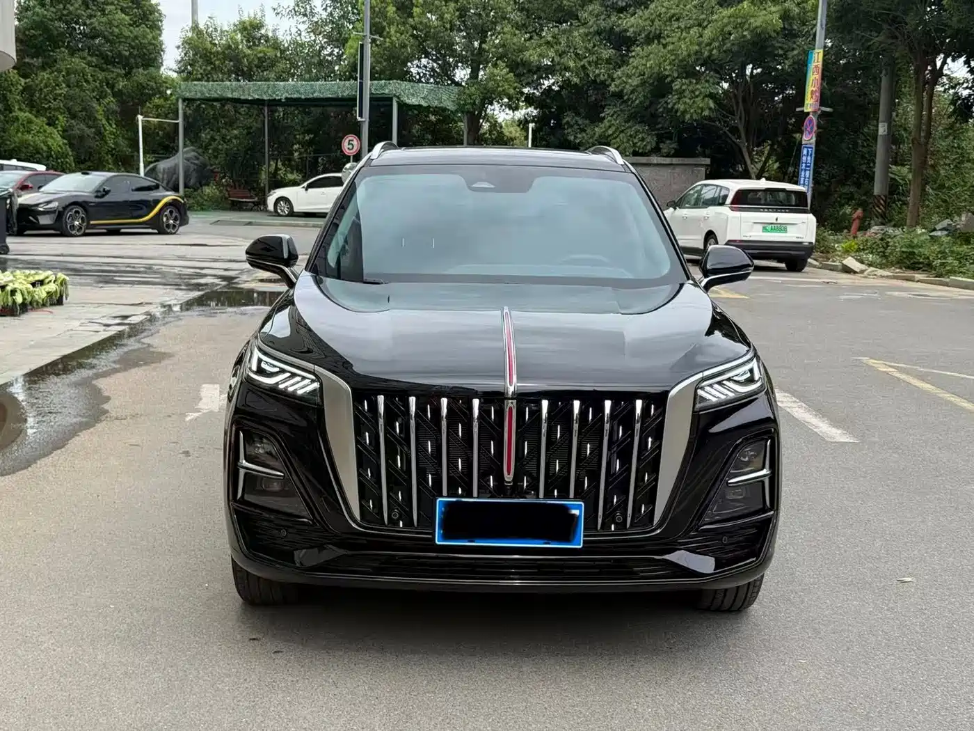 Фото 2 - Hongqi HS5