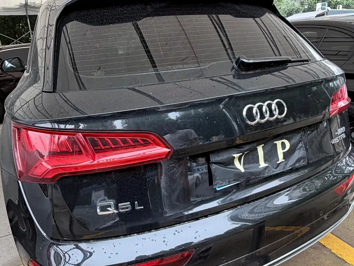 Audi Q5L 2020 40 TFSI Prestige Fashion фото 6
