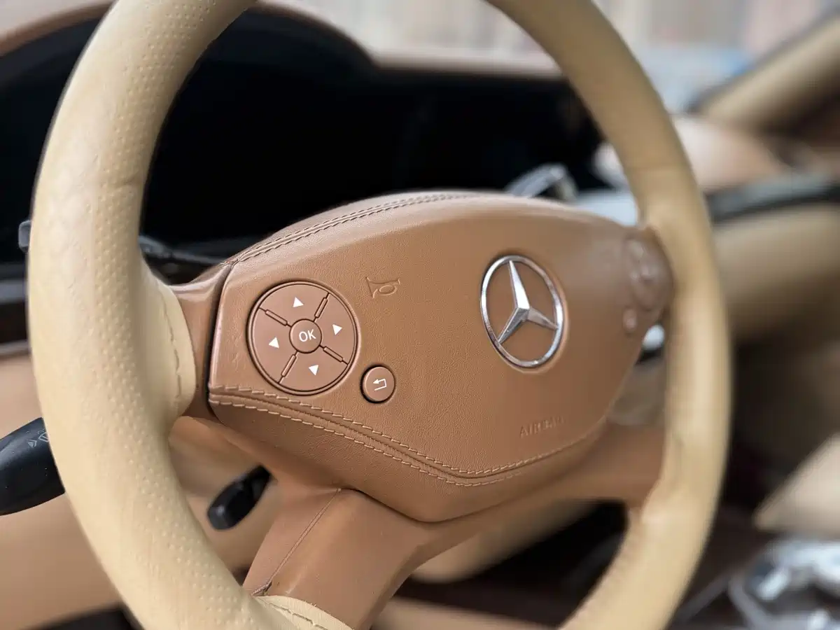 Mercedes-Benz S-Class 2010 S 300 L Business фото 12