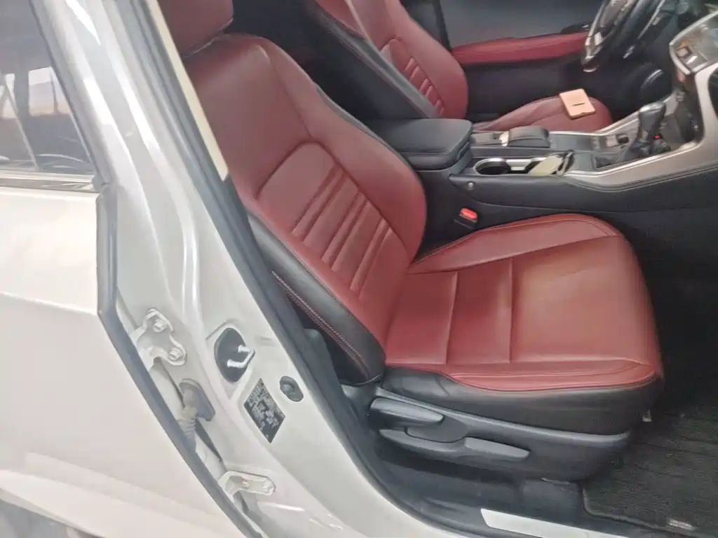 Фото 25 - Lexus NX