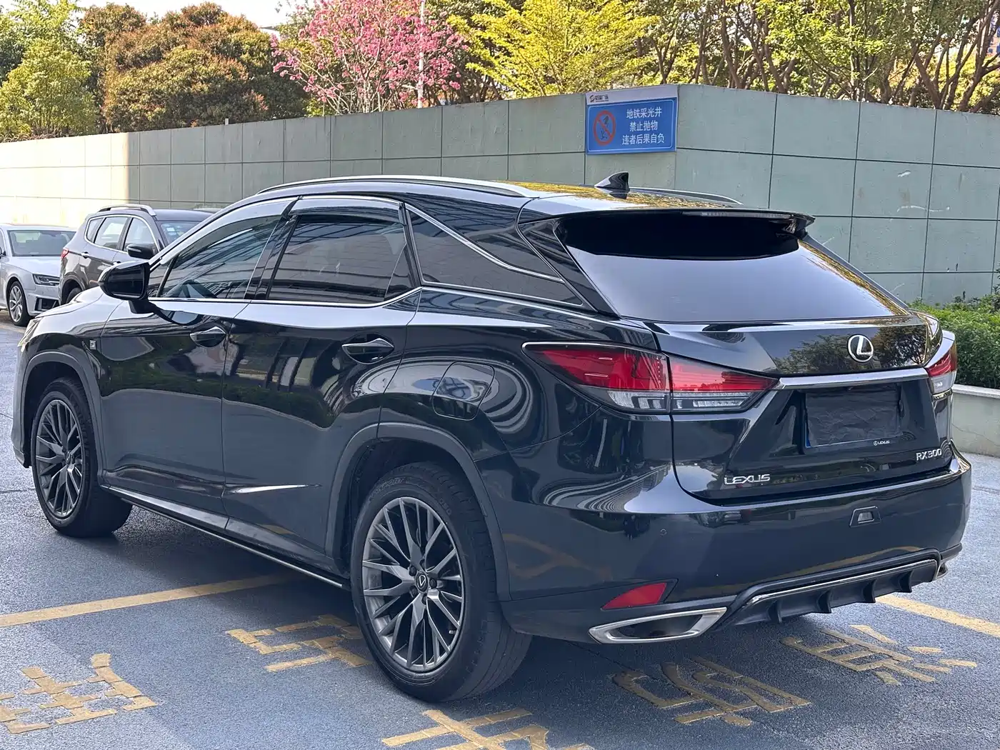 LEXUS RX