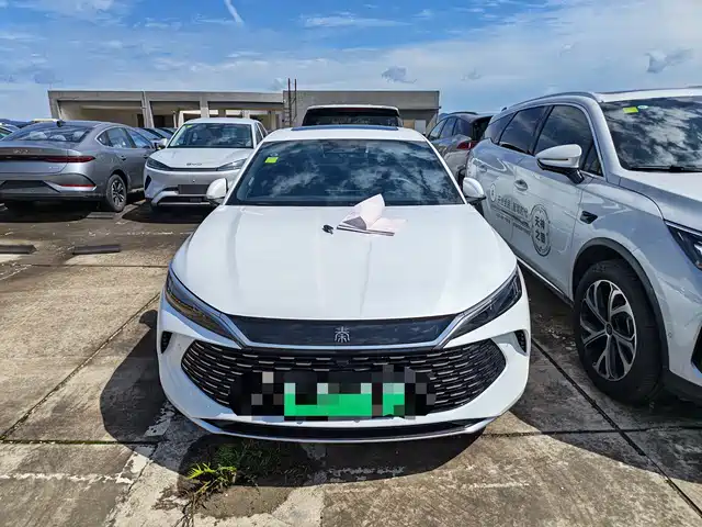 BYD QIN L