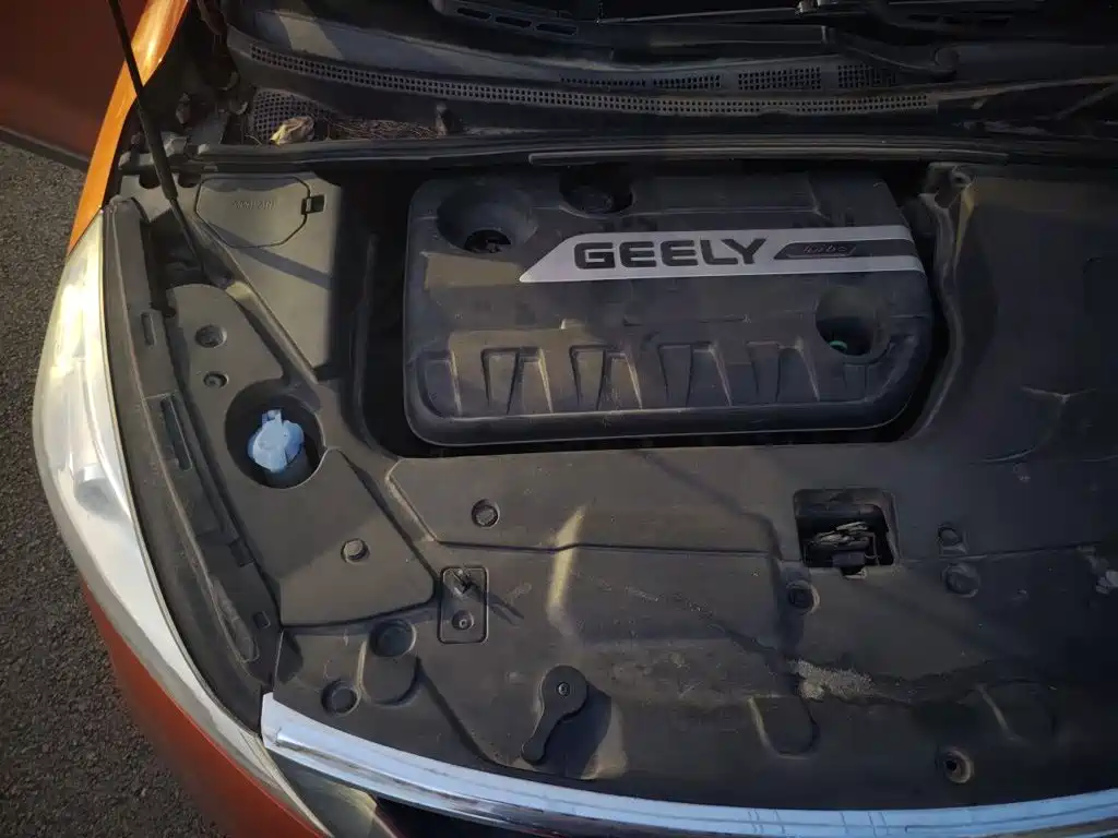 Photo 19 - Geely Emgrand GS