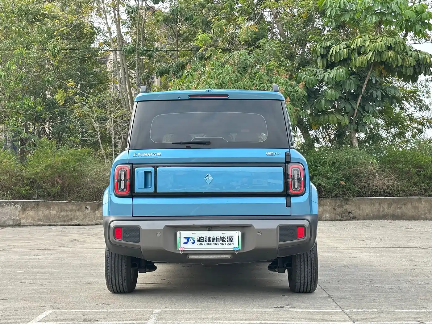 BAOJUN YUE ALSO PLUS