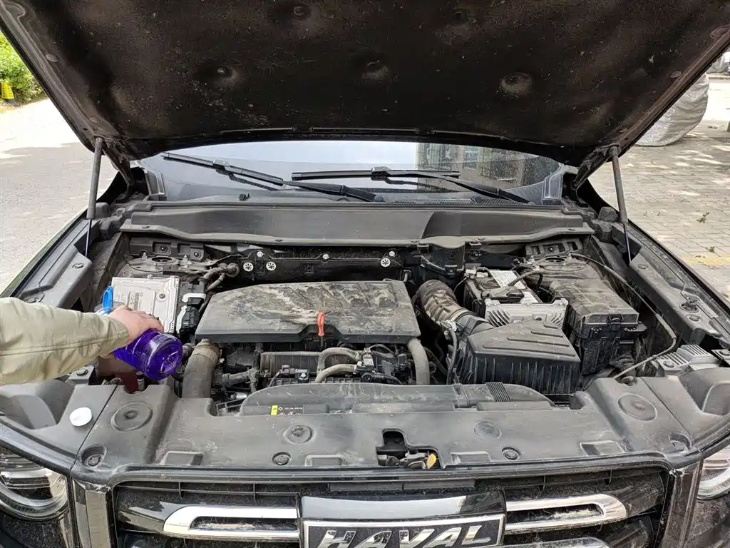 Haval Big Dog 2022 1.5T DCT FWD Border Collie Edition фото 11