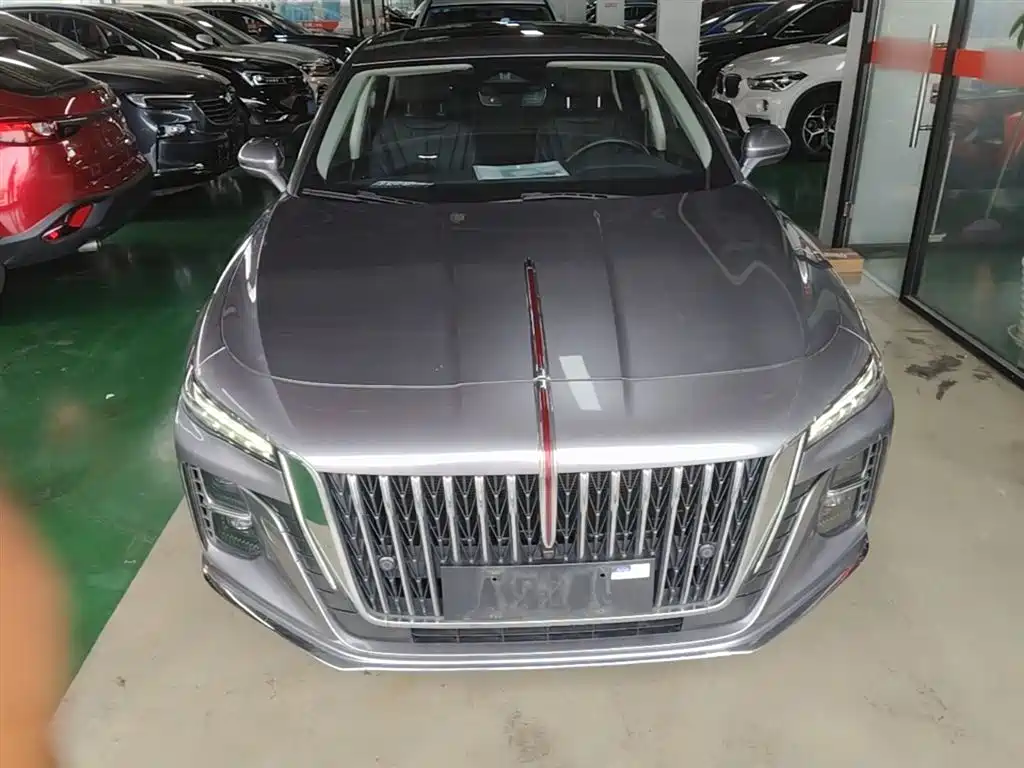 Hongqi H5 2023 2.0T Auto Smart Connect Flag Enjoy фото 3