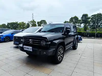 Tank 300