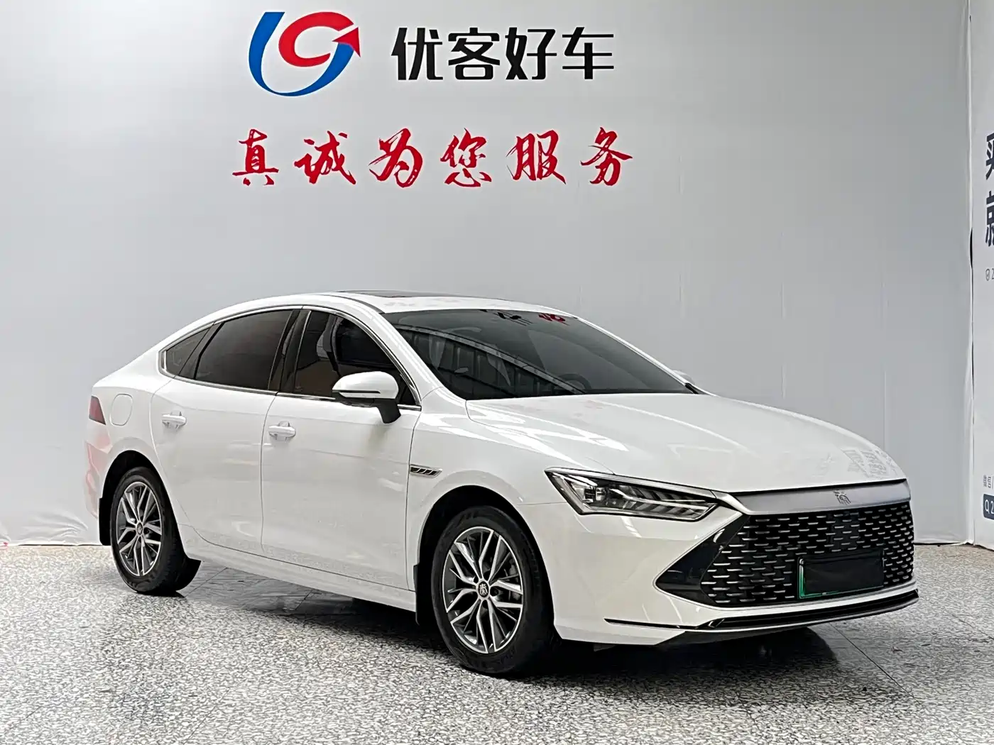 BYD Qin PLUS 2023 Champion Edition DM-i 55KM Surpassing фото 3