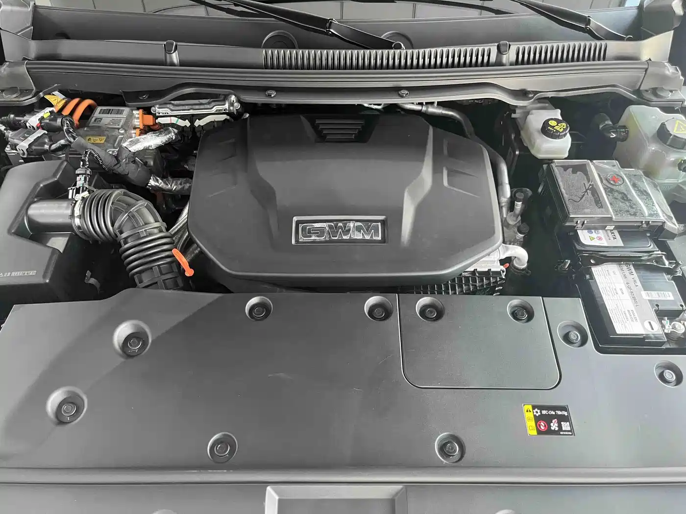 Tank 500 EV 2025 2024 Hi4-T
