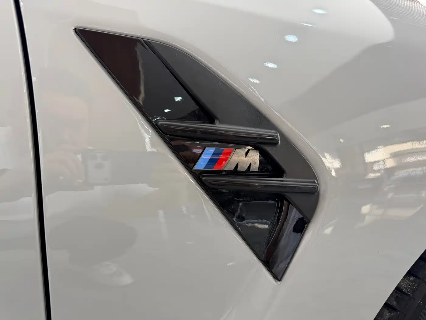 BMW 3 Series 2020 325Li M Sport Black Night Package фото 8