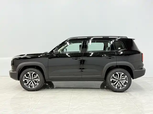 Haval Big Dog 2026 Model 1.5T High Configuration фото 4