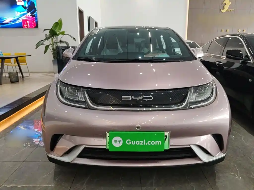 BYD Dolphin 2022 2021 Model 405km Fashion Edition