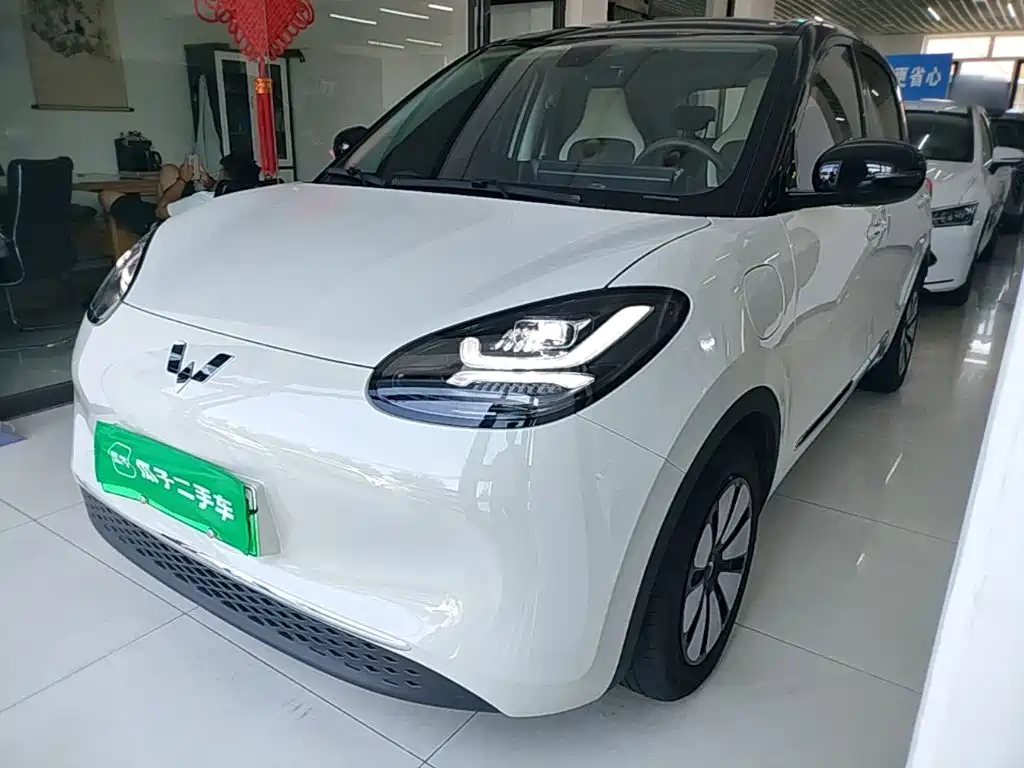 Wuling Motors Wuling Bingo 2026 2025 Model 333km Joy Edition