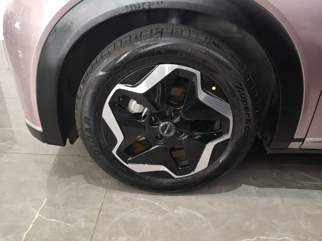 BYD Dolphin 2022 2021 Model 405km Fashion Edition