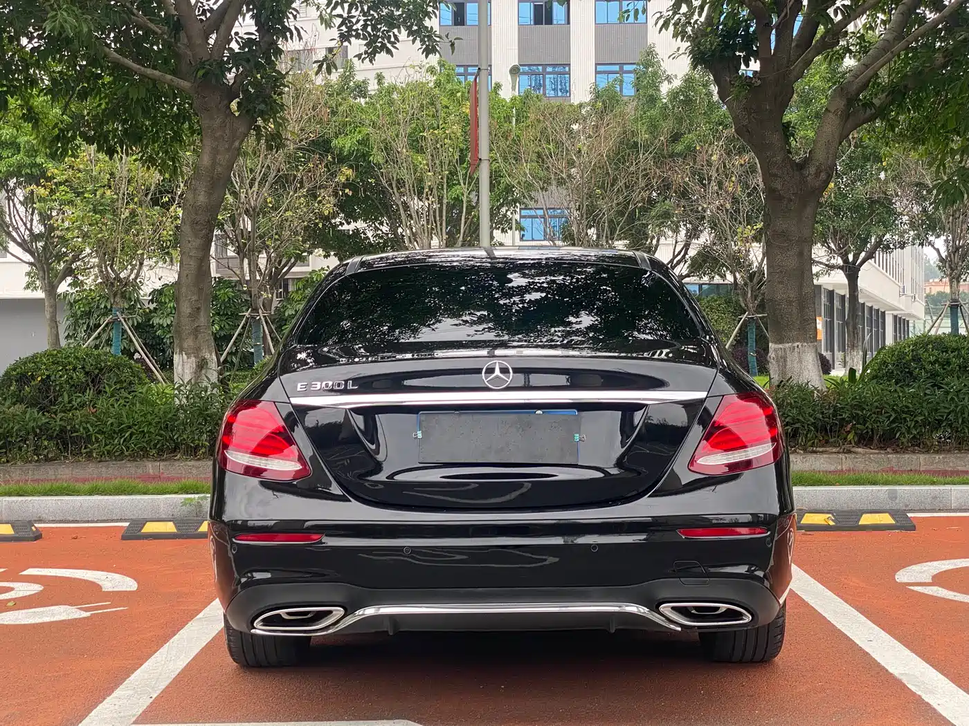 Mercedes-Benz E-Class 2019 E 300 L Luxury фото 8