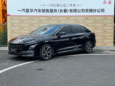 Hongqi E-QM5