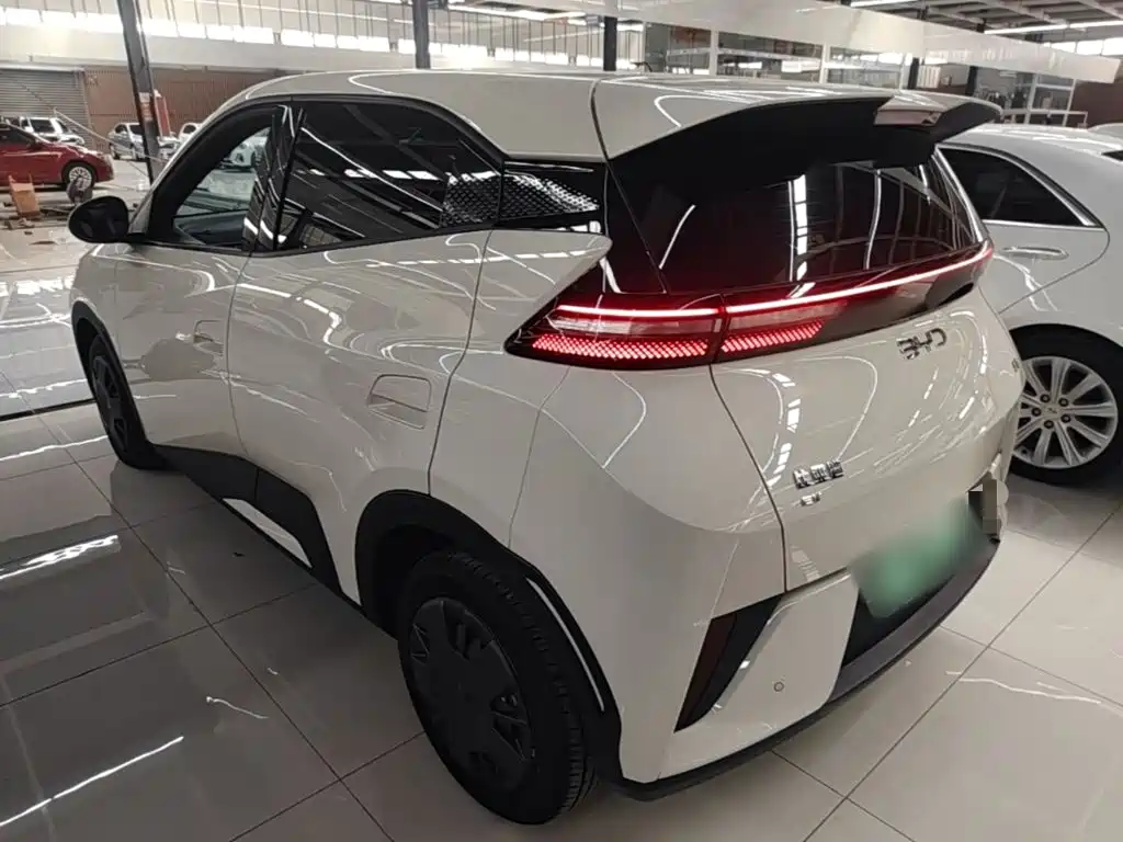 BYD Seagull 2026 2025 Smart Drive Edition 305km Vitality Version