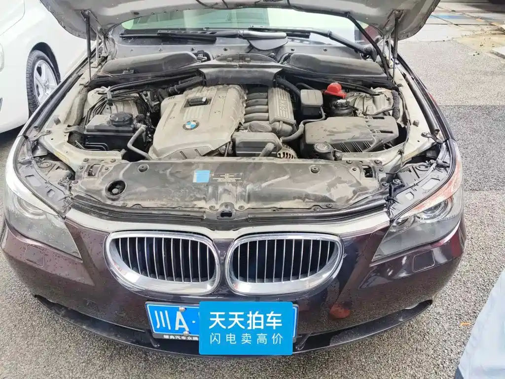 BMW 5 Series 2007 2007 523Li Elegance