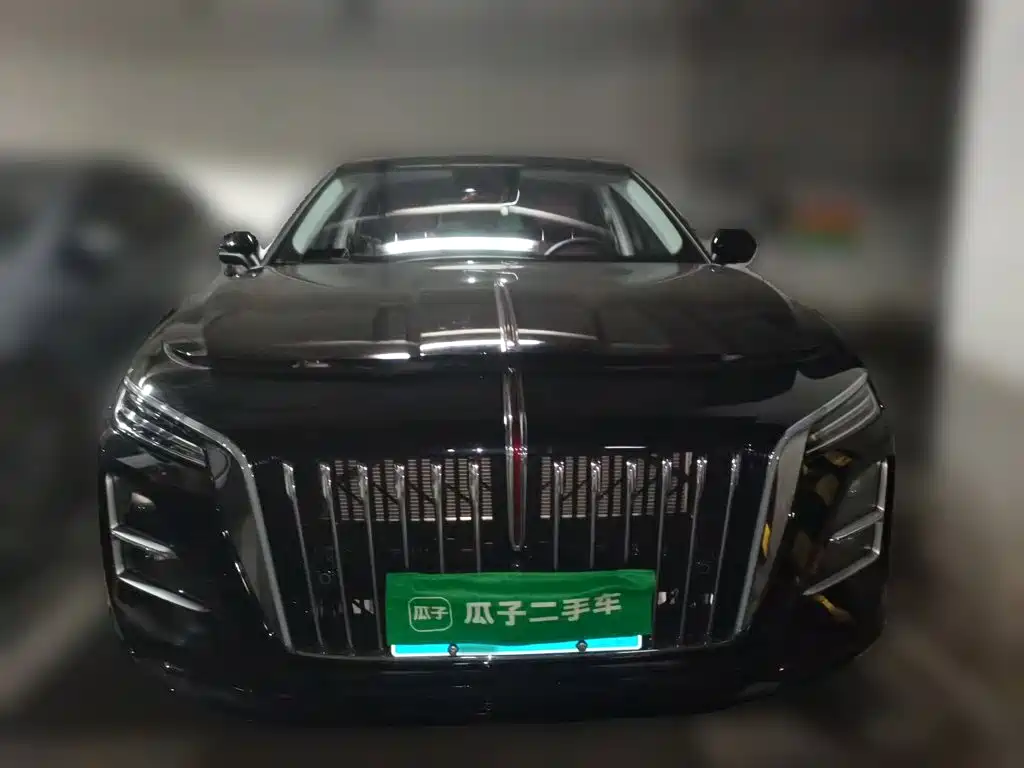 Фото 2 - Hongqi H5