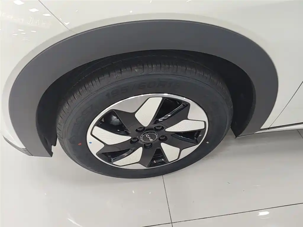 BYD Dolphin 2025 420km Freedom Edition фото 23