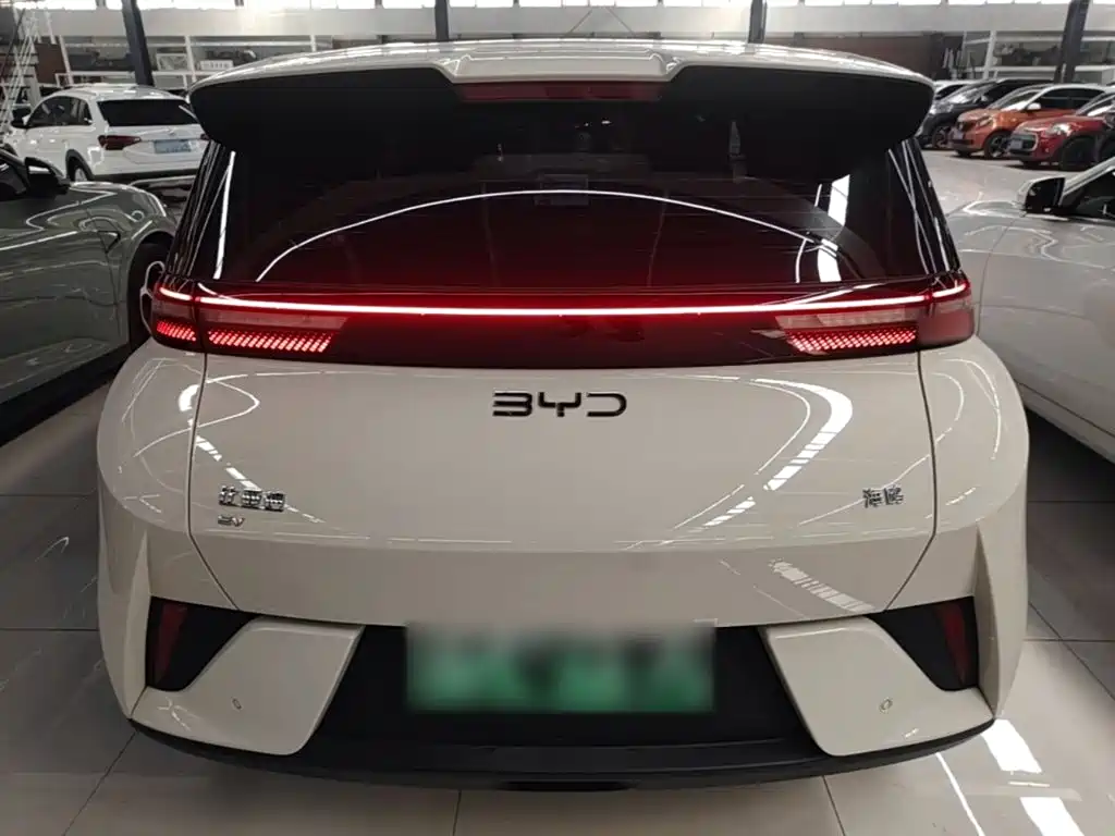 BYD Seagull 2026 2025 Smart Drive Edition 305km Vitality Version