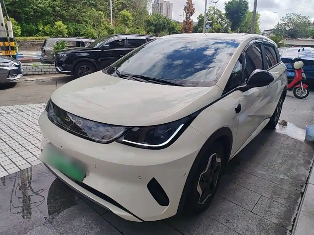 BYD Dolphin 2025 2025 Smart Drive Edition 420km Freedom Version