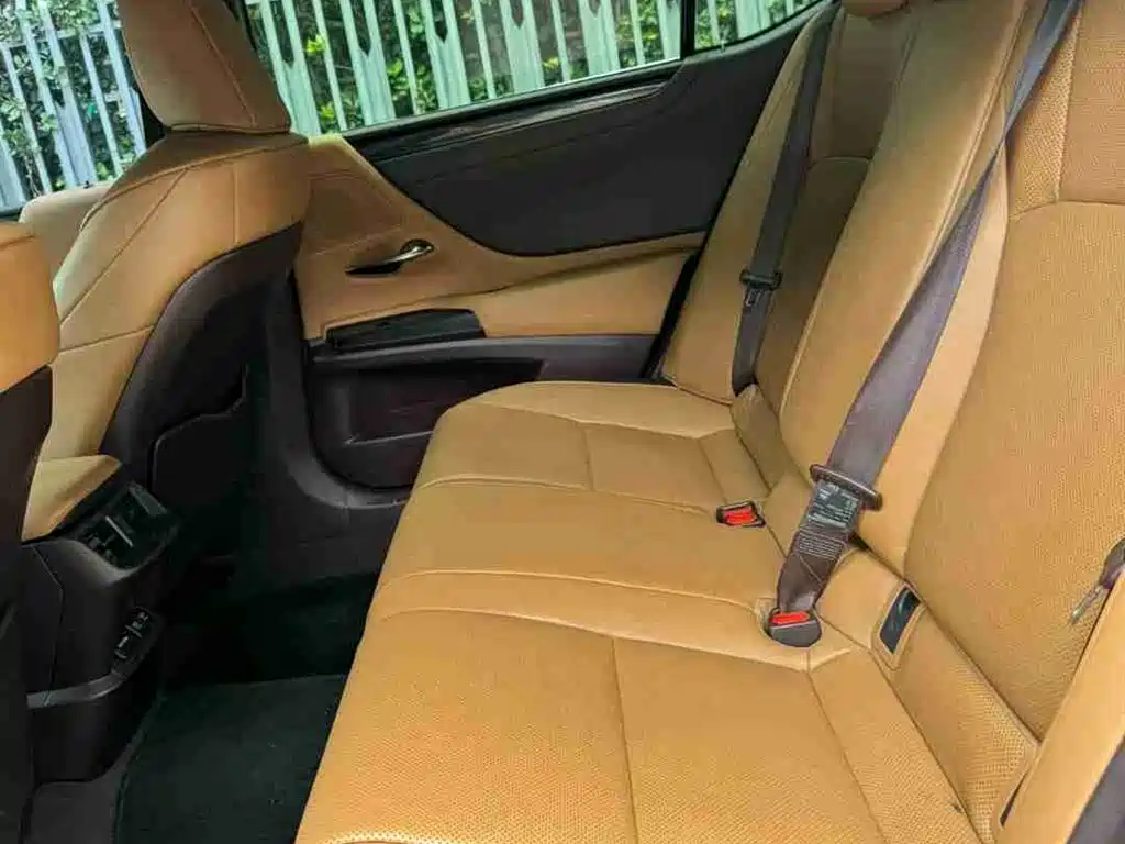 Lexus ES 2020 Model 300h Excellence Edition China V фото 10