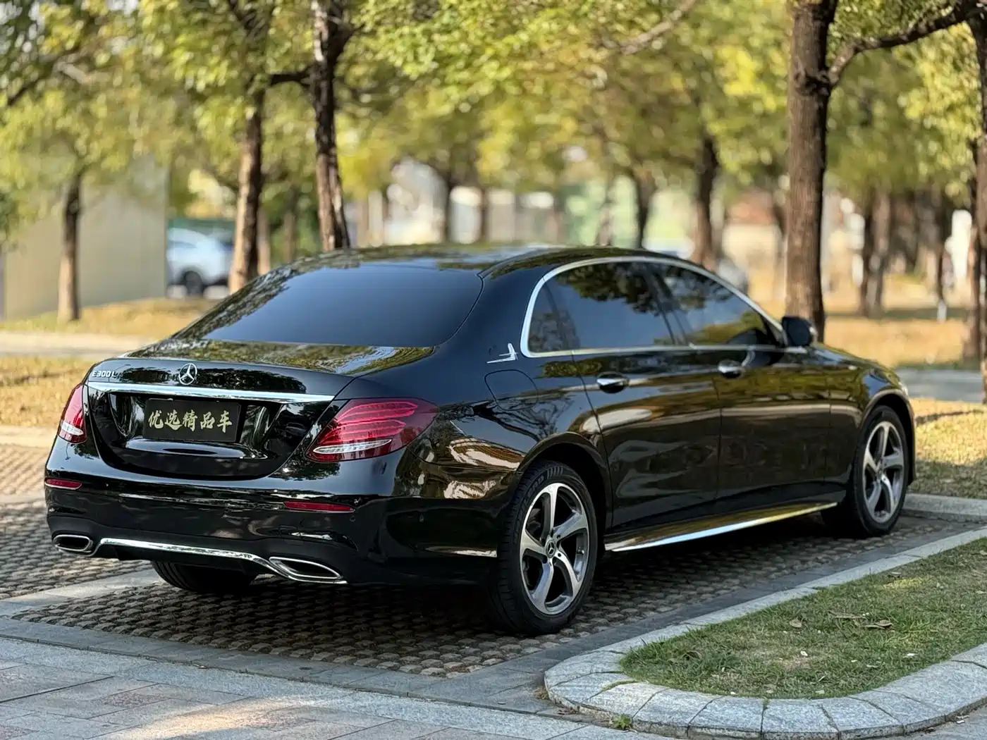 Mercedes-Benz E-Class 2019 Facelift E 300 L Sport Fashion фото 21