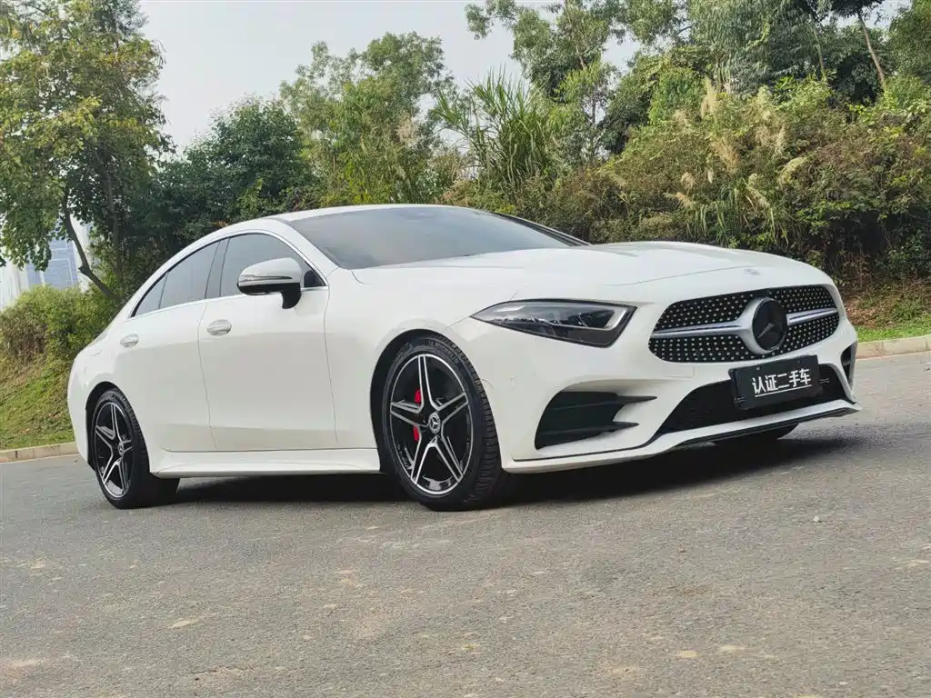 Mercedes-Benz CLS 2021 CLS 300 Luxury фото 3