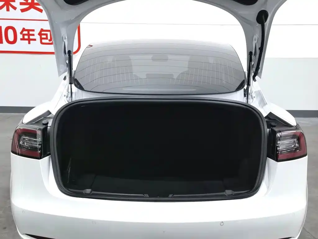 Tesla Model 3 (Import) 2019 2019 Standard Range RWD Upgraded Edition