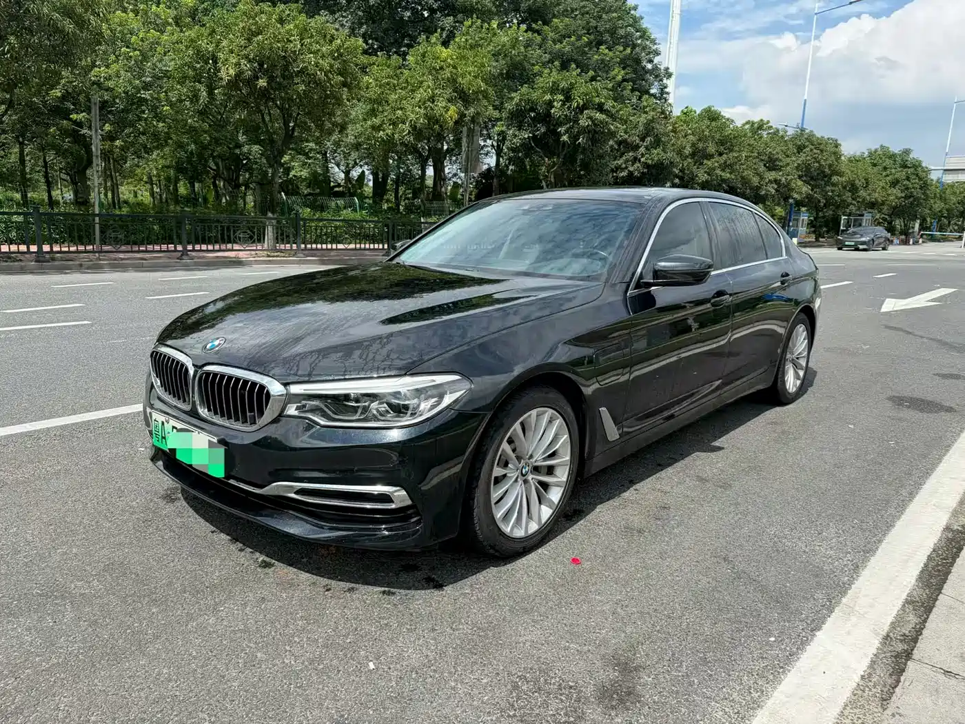 BMW 5 Series New Energy 2020 530Le Luxury Package