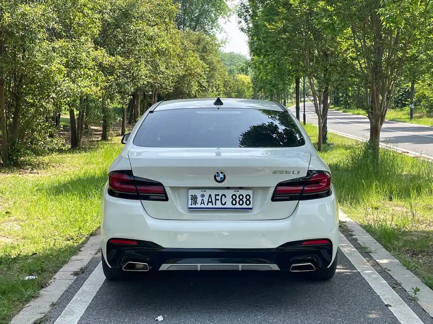 BMW 5 Series 2013 520Li Elegance фото 8