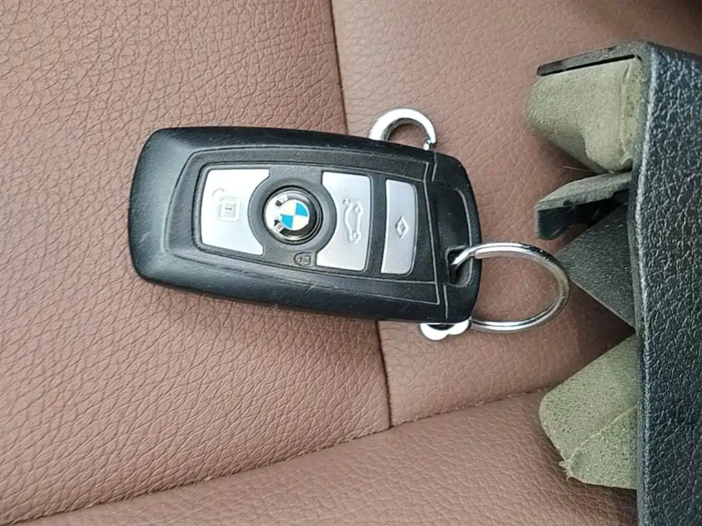 BMW 5 Series 2014 520Li Elegance фото 9
