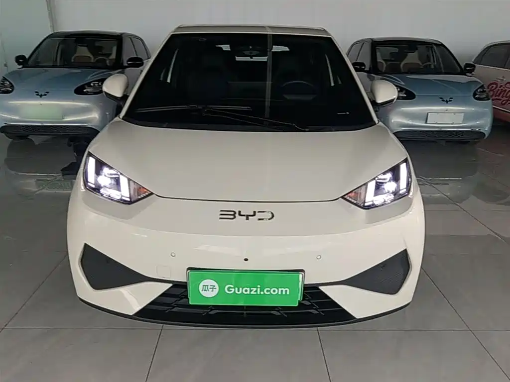 BYD Seagull 2025 Smart Drive Edition 305km Freedom Version фото 3
