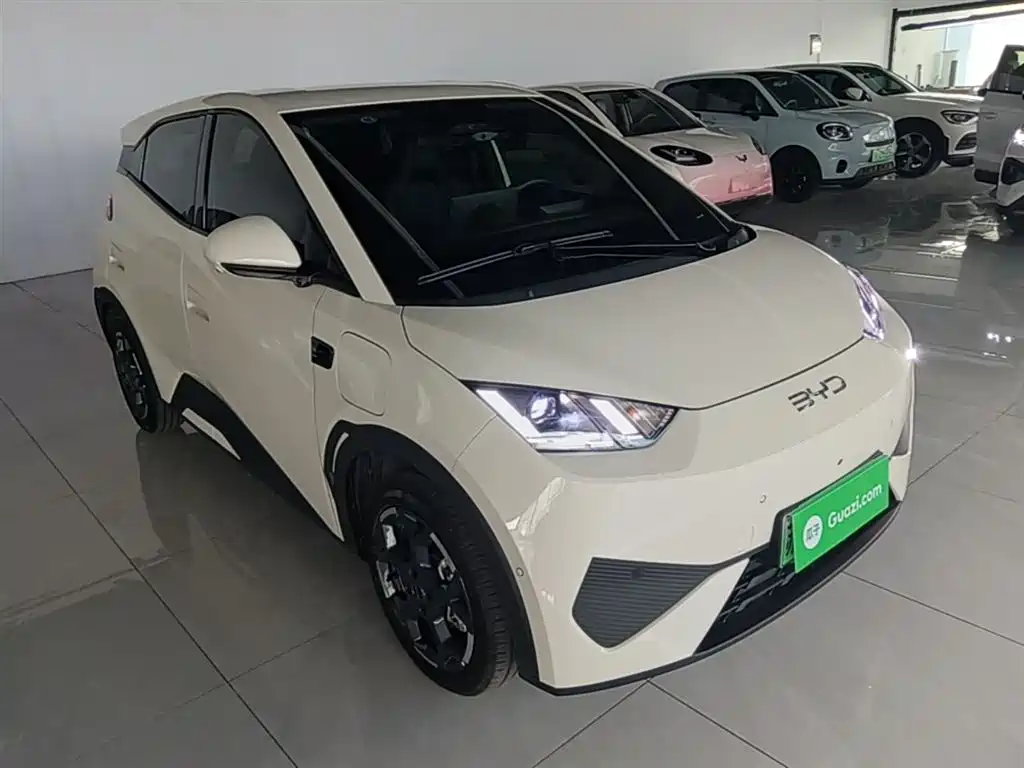 BYD Seagull 2025 Smart Drive Edition 305km Freedom Version фото 4