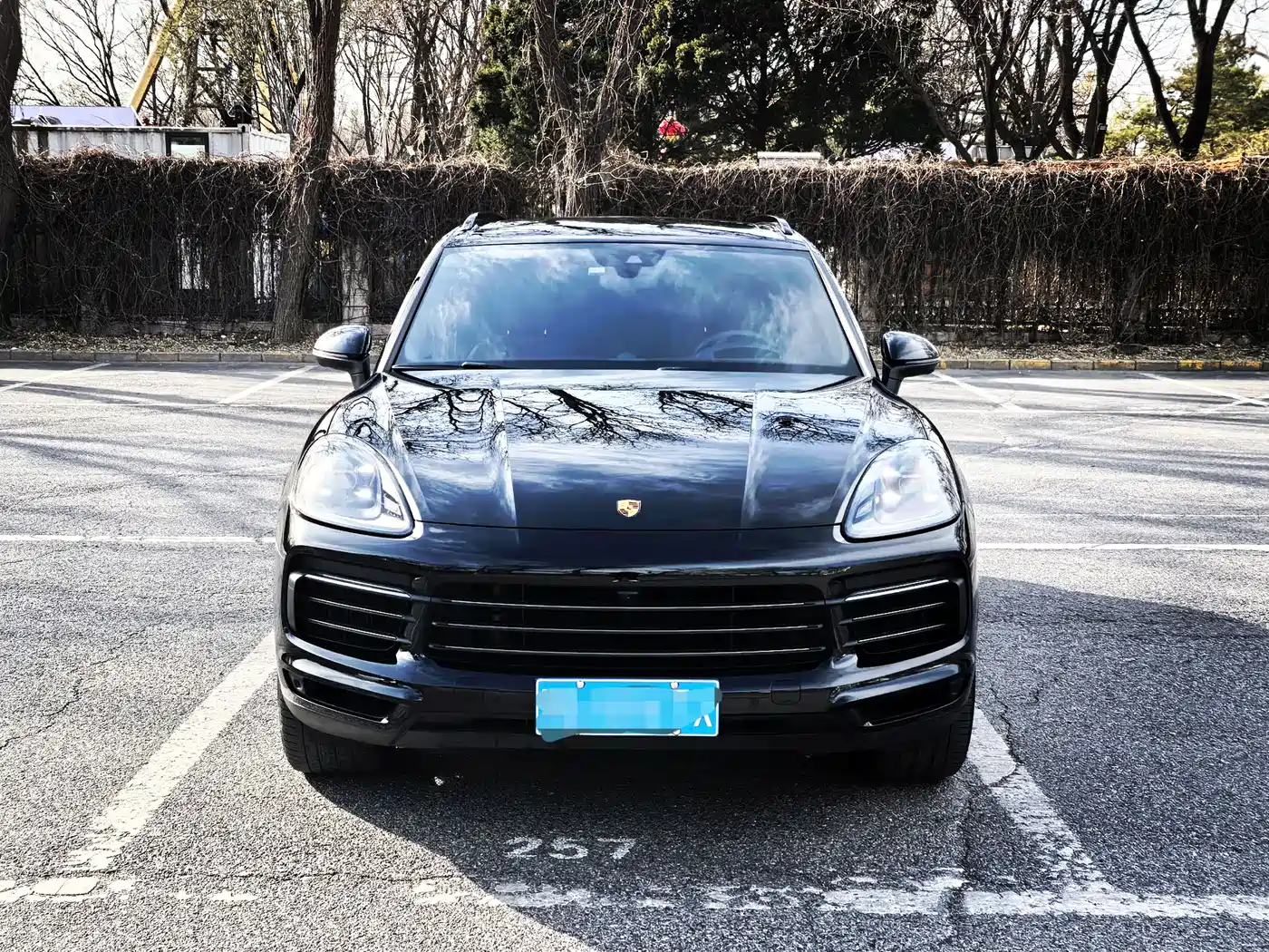 Porsche Cayenne 2023 Cayenne 3.0T Platinum Edition