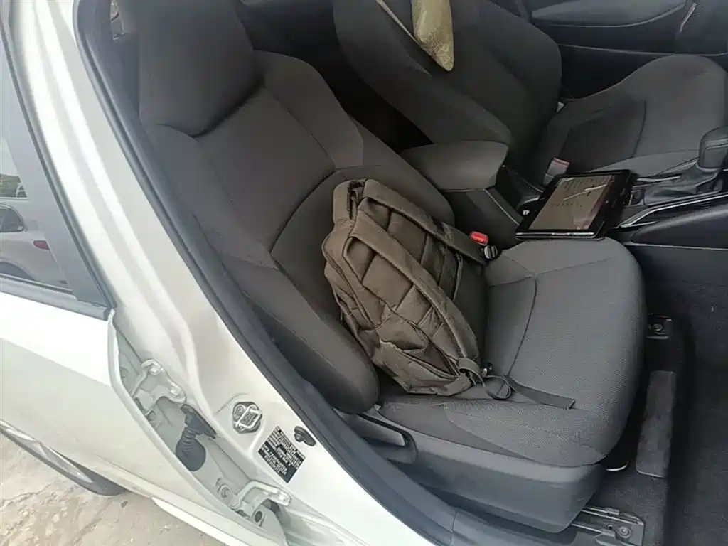 Toyota Levin 2019 185T CVT Luxury Edition China VI фото 25