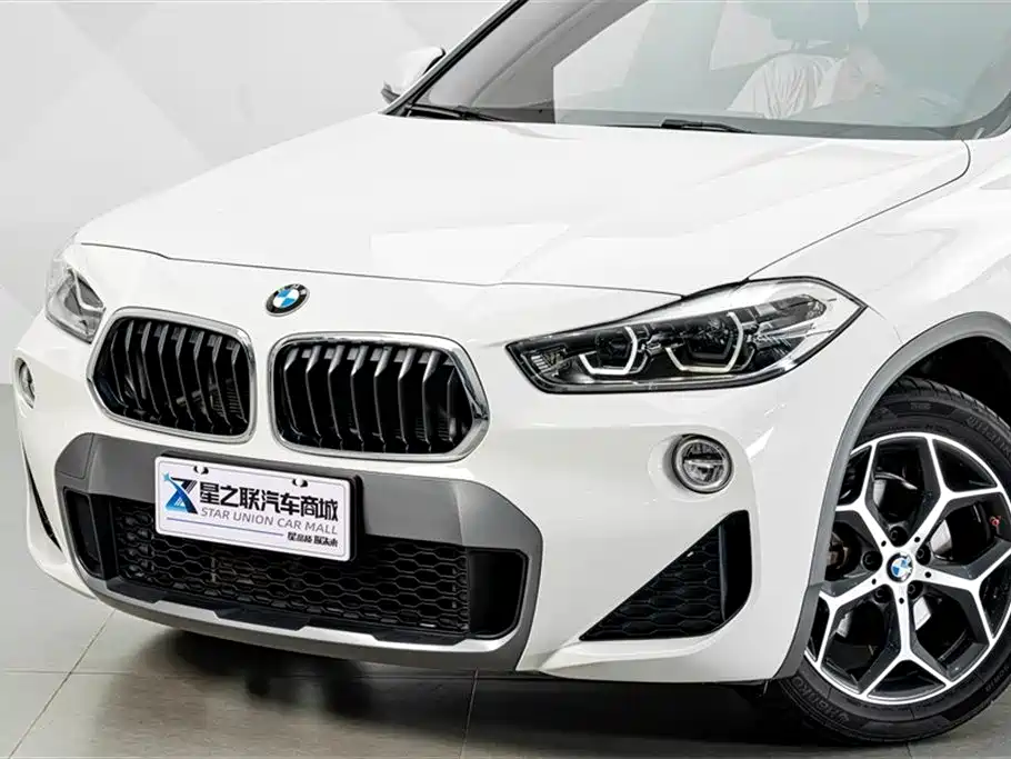 BMW X2 (Import) 2019 sDrive20i M Off-Road Package China VI фото 2