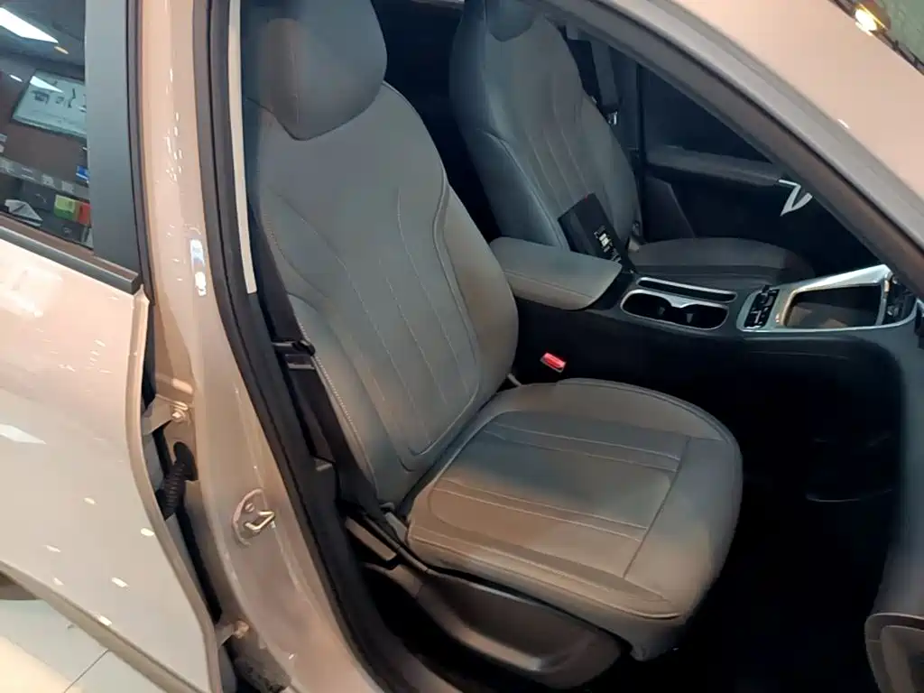 Geely Galaxy Starry Wish 2026 2026 Edition 410km Freedom Version