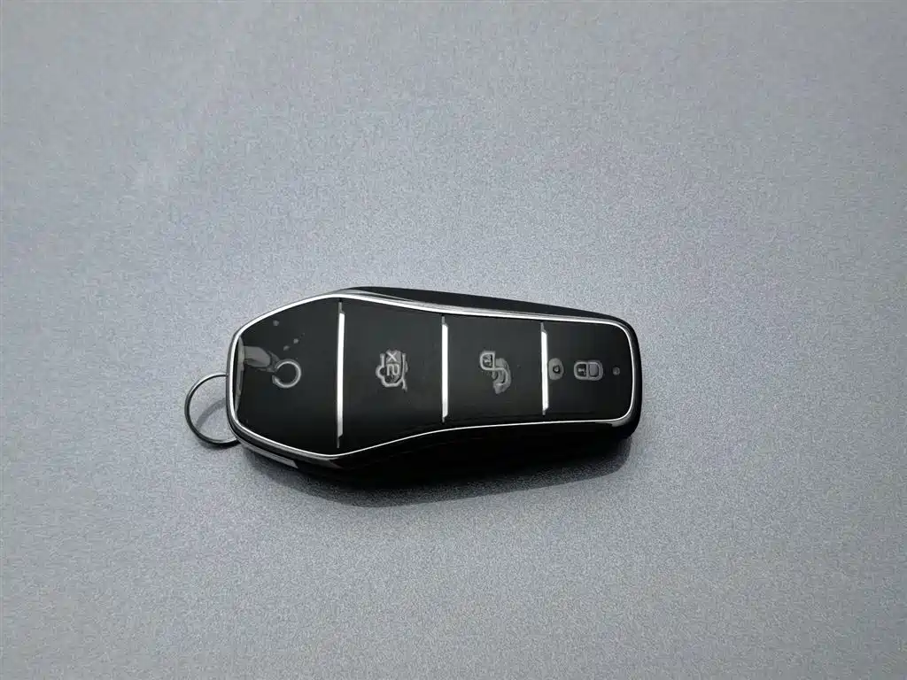 BYD Han 2023 DM-i Champion Edition 121KM Premium фото 19