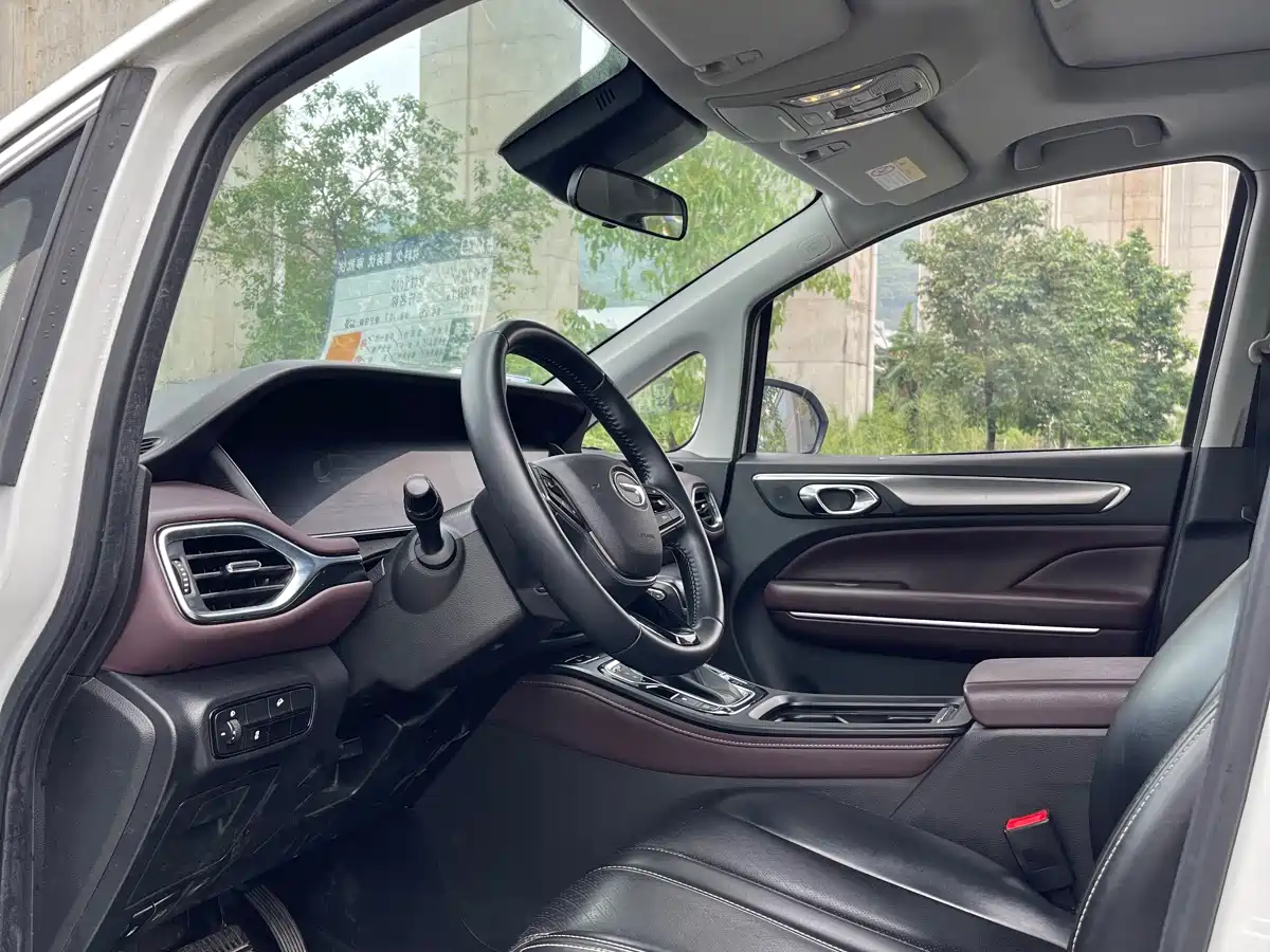 GAC Trumpchi Trumpchi M6 2021 PRO 270T DCT Elite фото 13